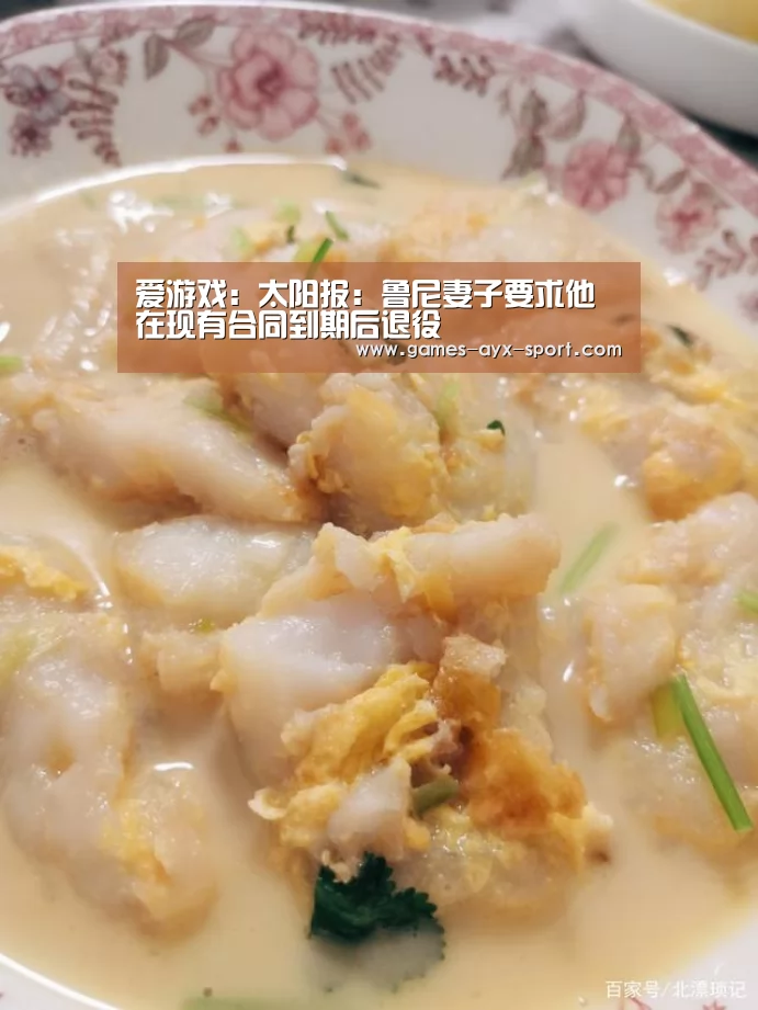 爱游戏:太阳报:鲁尼妻子要求他在现有合同到期后退役(图2) 爱游戏首页