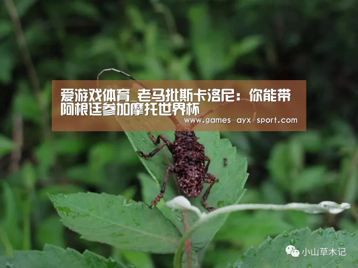 爱游戏体育_老马批斯卡洛尼:你能带阿根廷参加摩托世界杯(图3) 爱游戏首页