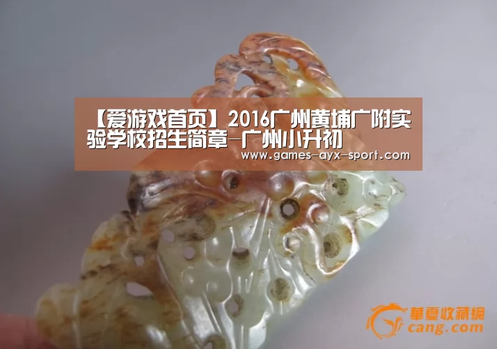 【爱游戏首页】2016广州黄埔广附实验学校招生简章-广州小升初(图1) 爱游戏体育