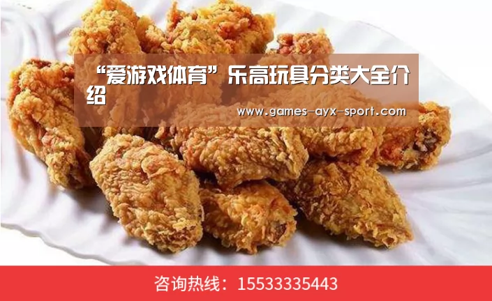 “爱游戏体育”乐高玩具分类大全介绍(图1) 爱游戏首页