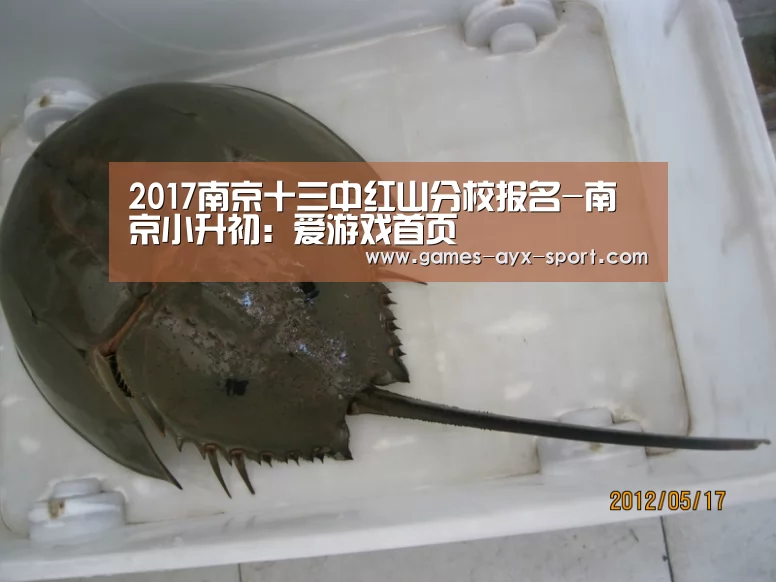 2017南京十三中红山分校报名-南京小升初:爱游戏首页(图2) 爱游戏体育