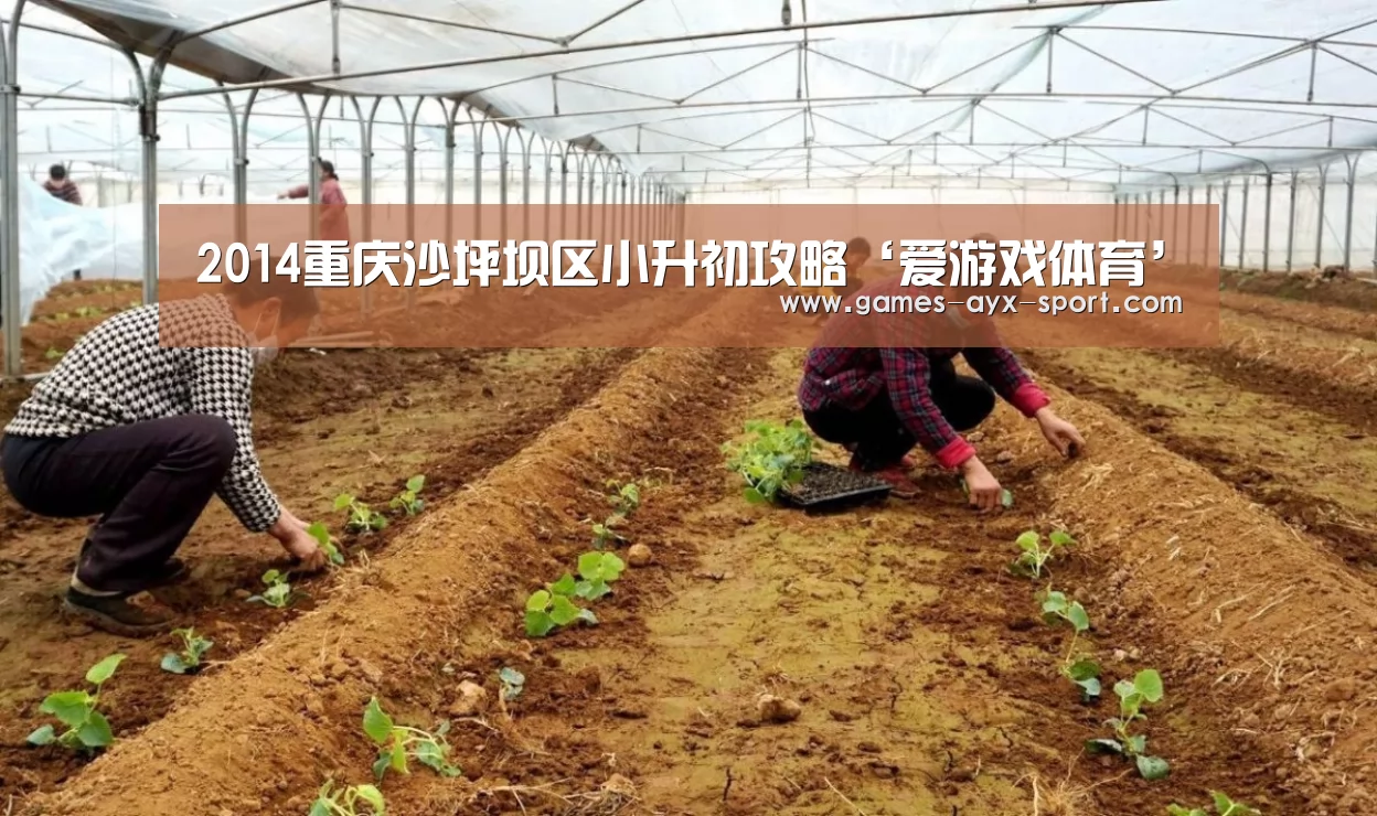 爱游戏首页