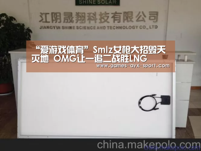 “爱游戏体育”Smlz女枪大招毁天灭地 OMG让一追二战胜LNG(图3) 爱游戏首页