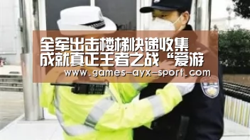 爱游戏官网
